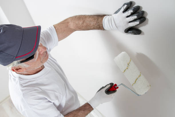 Best Commercial Mold Inspection  in Sheldon, IL
