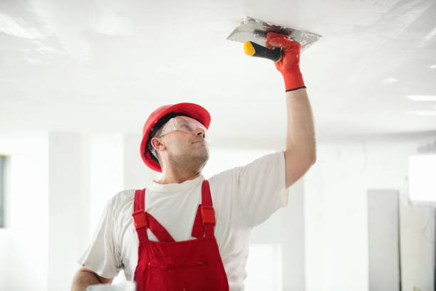 Best Mold Remediation for Healthcare Facilities  in Sheldon, IL