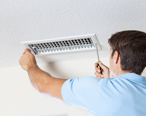 Sheldon, IL Mold Removal Company