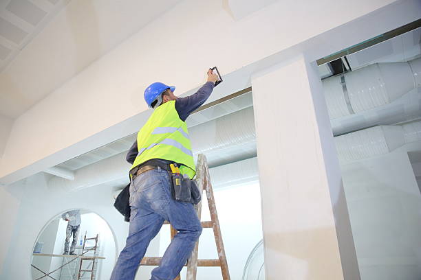 Best Mold Remediation for Healthcare Facilities  in Sheldon, IL