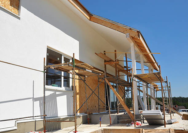 Best Post-Construction Mold Inspection  in Sheldon, IL